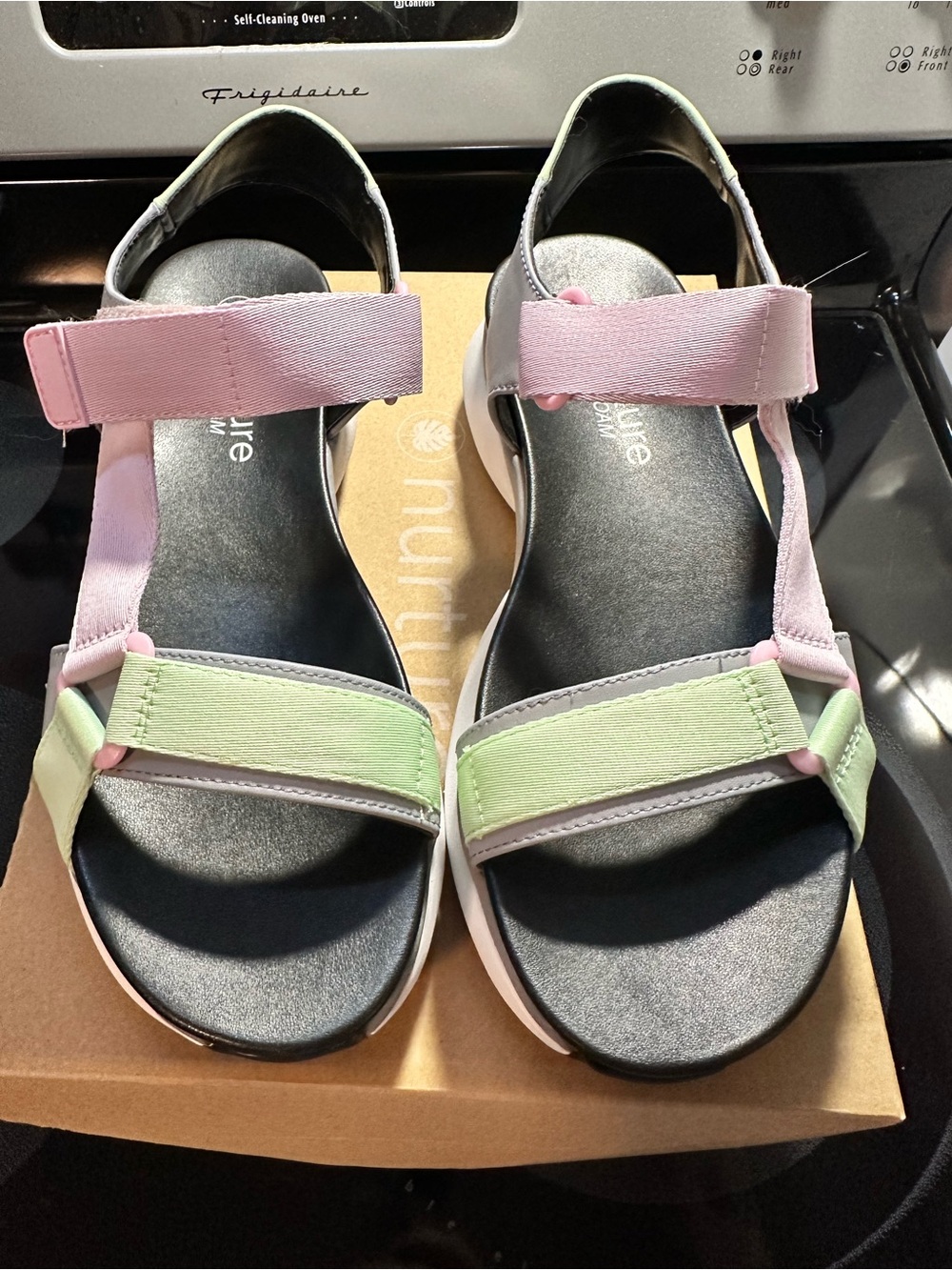 Echo Alloy/Pargrn Color Shoe Box Label